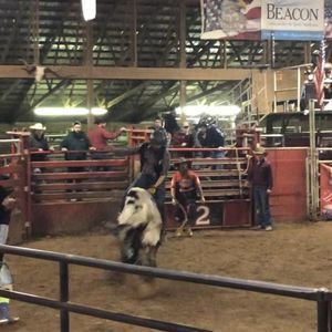 Meet your Posher, Graham